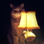 Костя Бобрик