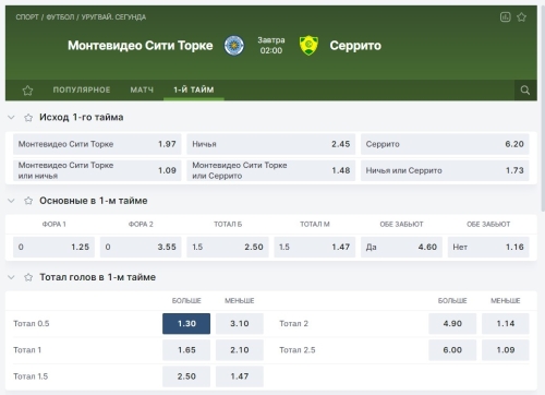 Монтевидео Сити Торке.jpg