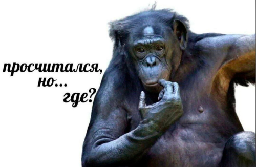 image.thumb.png.1f5569bc9ff7ac7e3b383ceee796fe2b.png