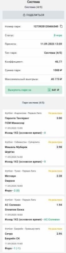 система 100+.jpg