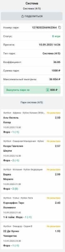 система 100+.jpg