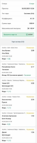 система 100+.jpg