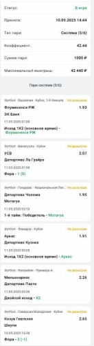 система 100+2.jpg