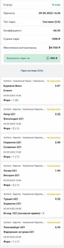 система 100+3.jpg