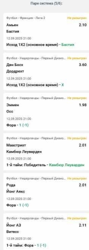 система 100+6.jpg