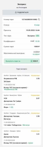 экспресс 10+ 2.jpg