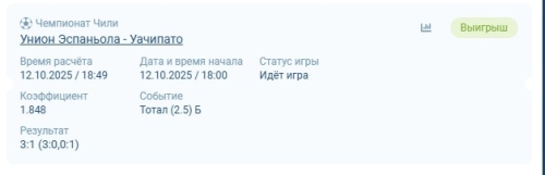 Скриншот 12.10.25_19.23.51.jpg