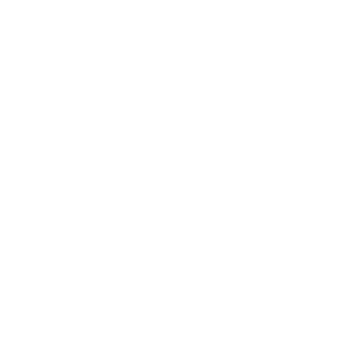 logo-1024.png.deed51f7a7c0803159c85d79bf7730bc.webp