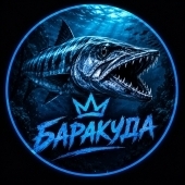 BARacuda